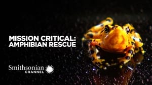 Mission Critical: Amphibian Rescue