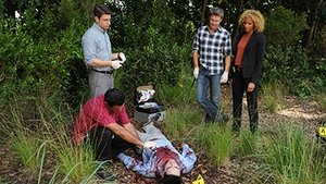 The Glades: 4×11