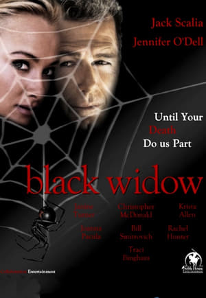 Poster Black Widow 2010