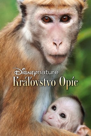 Image Kráľovstvo opíc