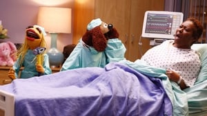 The Muppets: 1×15