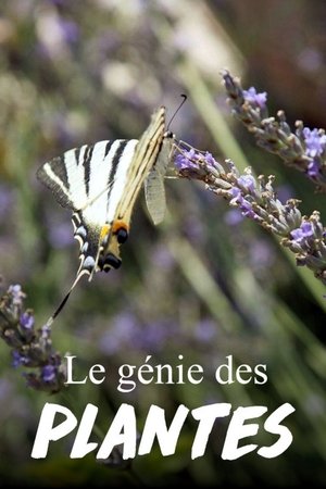 Image Le Génie des plantes