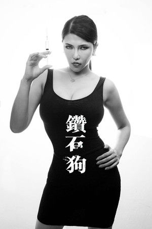 鑽石狗 2017 動画日本語吹き替え