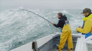 Wicked Tuna Hold Fast