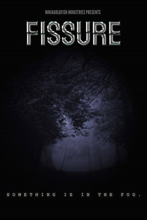 FISSURE