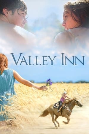 Poster Valley Inn 2014