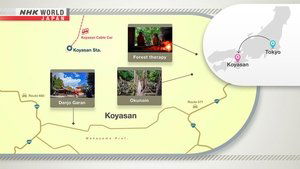 Journeys in Japan: 14×24