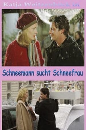 Schneemann sucht Schneefrau poster