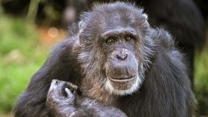 The Secret Life of the Zoo: 1×5
