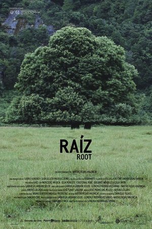 Poster Root (2014)