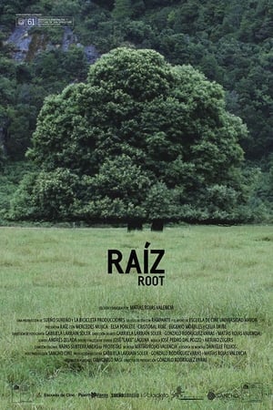 Poster Raíz 2014