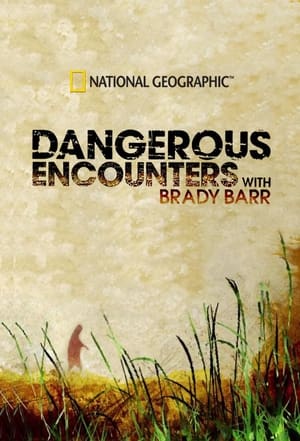 Image Dangerous Encounters