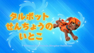 タルボットせんちょうの いとこ