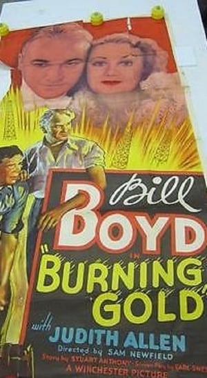 Burning Gold poster