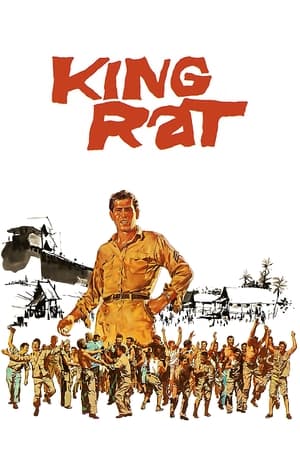 Poster King Rat 1965