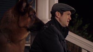 Hudson & Rex Temporada 1 Capitulo 10