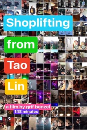 Poster Shoplifting from Tao Lin (2023)