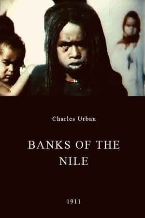 Banks of the Nile film complet