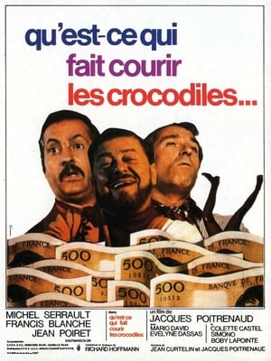 Qu'est-ce qui fait courir les crocodiles ? poster