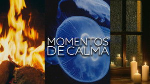 Momentos de calma