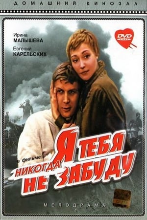 Я тебя никогда не забуду poster