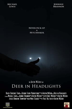 Image Deer in Headlights