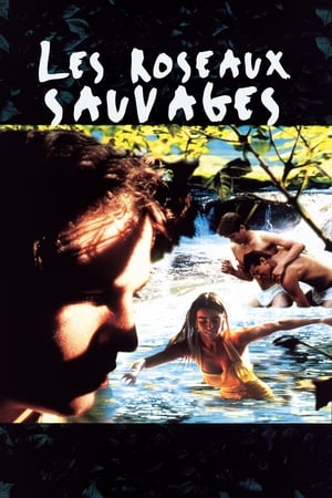 Poster Les Roseaux sauvages 1994