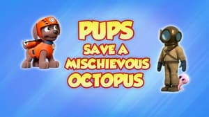 PAW Patrol Pups Save a Mischievous Octopus