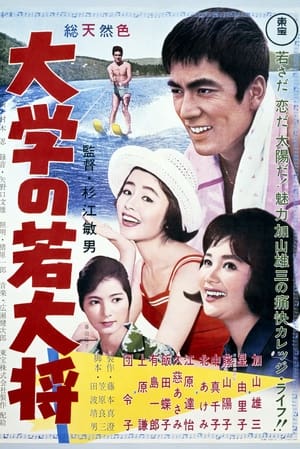 Poster Sir Galahad in Campus (1961)