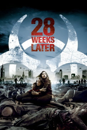 Постер фильма «28 недель спустя (2007)» — (18 из 110)