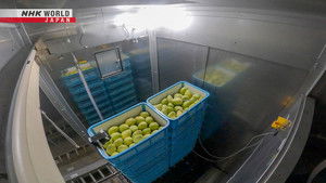 Japan’s Top Inventions: 6×10