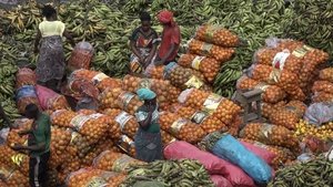 L'Afrique des femmes