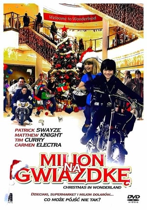 Poster Milion na gwiazdkę 2007