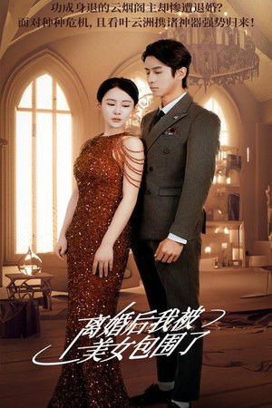 离婚后，我被美女包围了