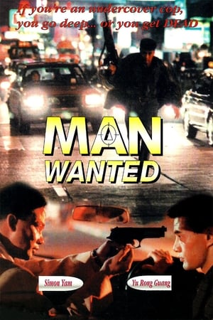 Poster Man Wanted (1995)