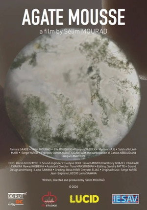 Moss Agate 9