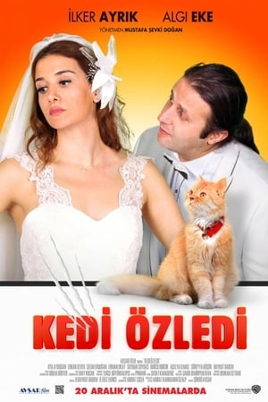 Kedi Özledi poster