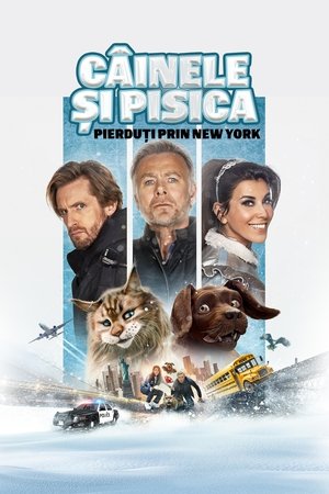 Image Câinele și pisica: Pierduți prin New York