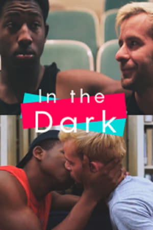 Poster In the Dark (2018)