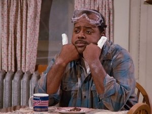 Family Matters Season 1 Episode 8