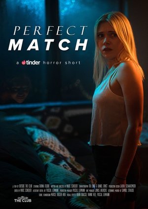 Poster Perfect Match (2020)