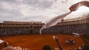 Tardes de soledad