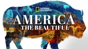 poster America the Beautiful