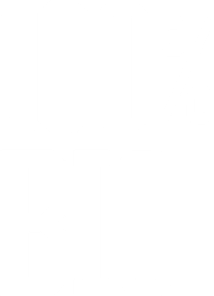 100% bio — Logos 2