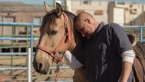 Mustang: La rehabilitación Online En Netflix