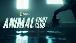 poster Animal Fight Night
