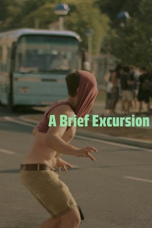 Image A Brief Excursion