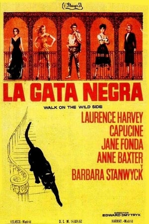 Poster La gata negra 1962