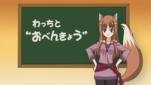 Image Studying with Holo