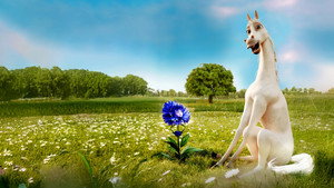 Dominykas the Horse’s Journey to the Stars